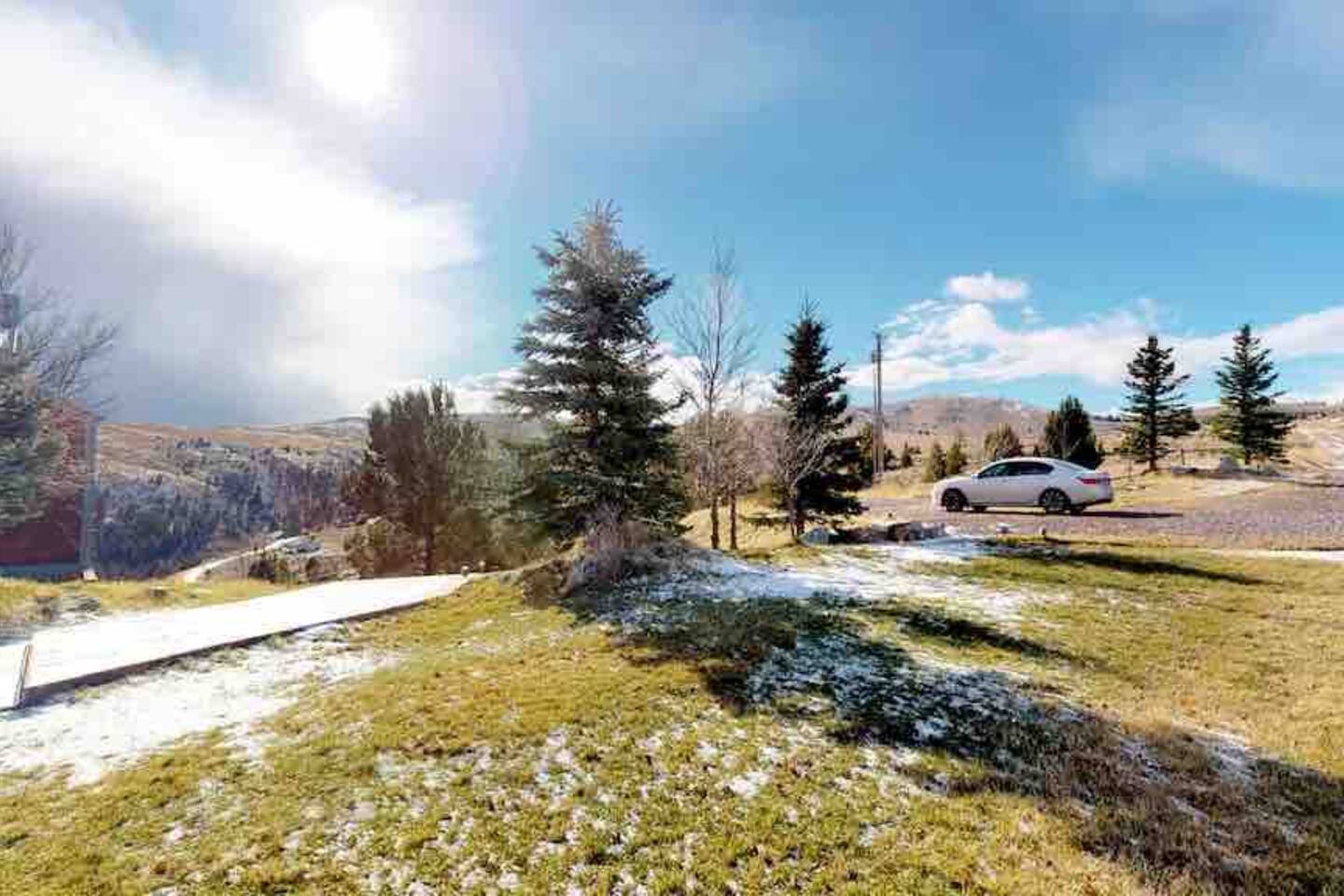 Driveway and grounds in winter